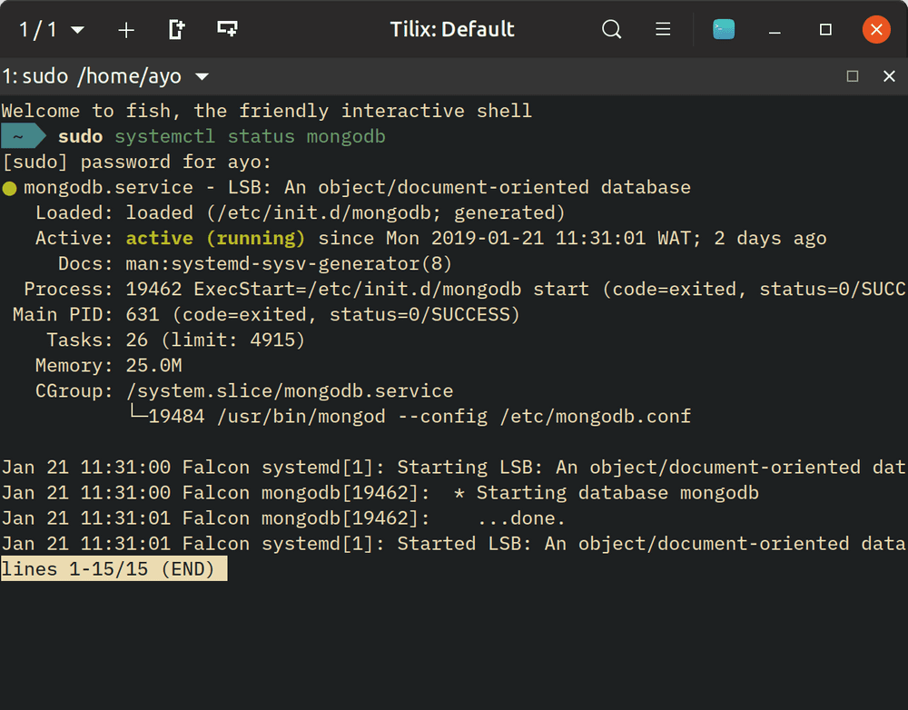 Terminal showing active status of MongoDB server